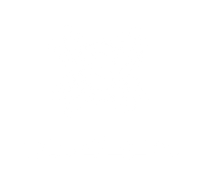Vizeon Store